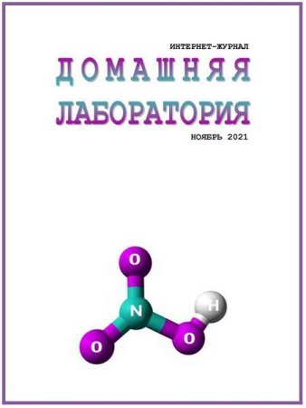 Постер к Домашняя лаборатория №11 (ноябрь 2021)